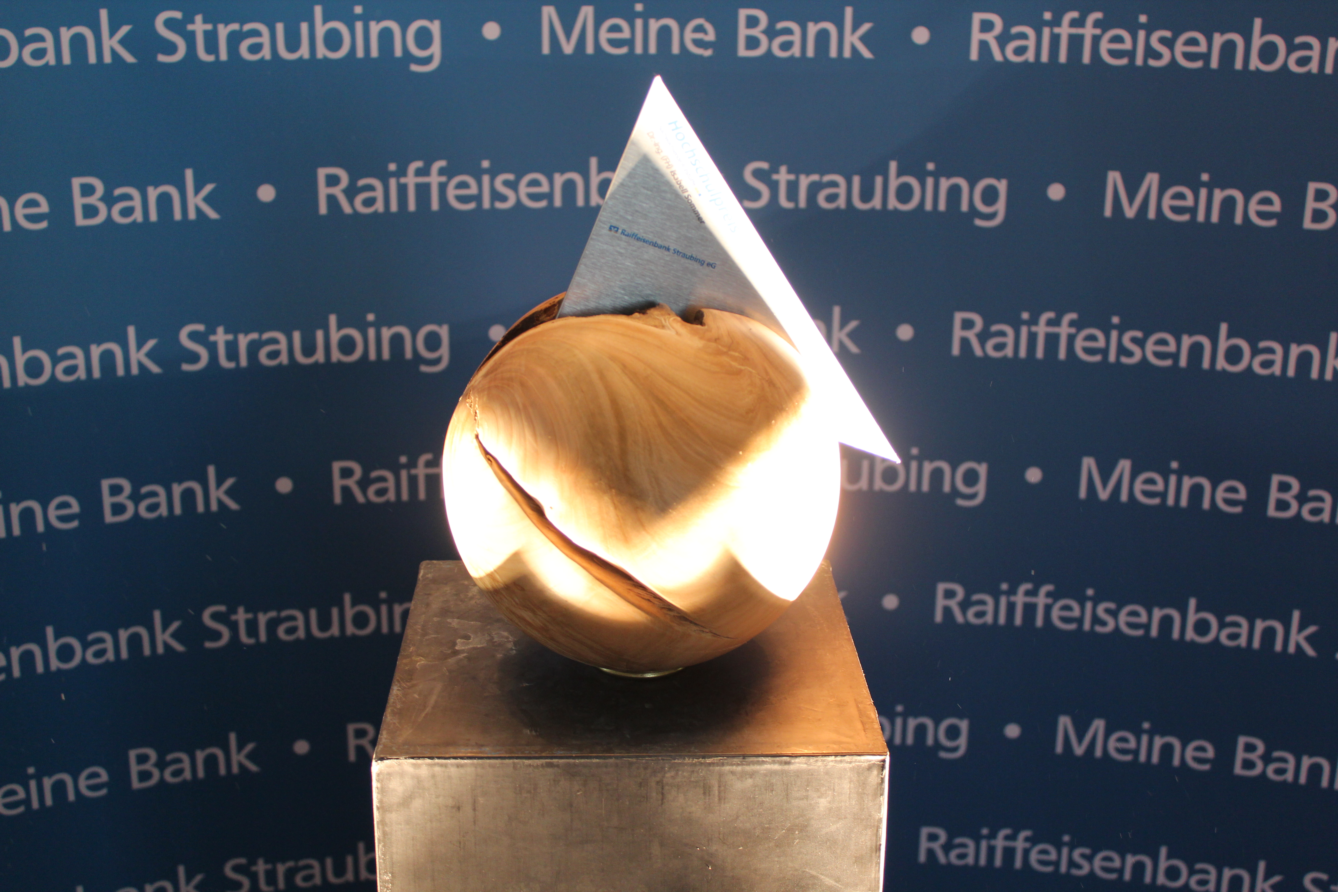 Hochschulpreis 2013